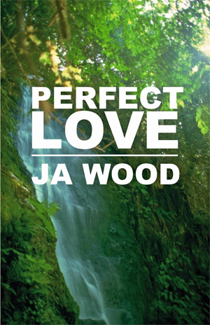 Perfect Love Perfect Love